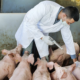 ANTIBIOTIC RESISTANCE
