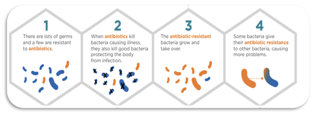 HOW ANTIBIOTIC RESISTANCE HAPPEN?