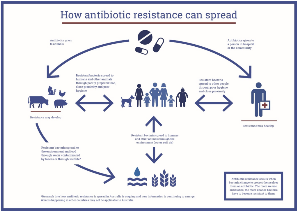 What are some possible routes for these germs to enter the food supply?