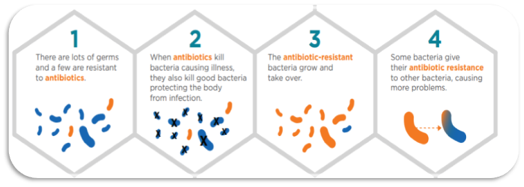 ¿Cómo se produce la resistencia a los antibióticos?